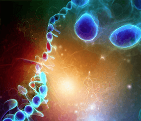 Small Molecule Compounds and the Wnt Signaling Pathway